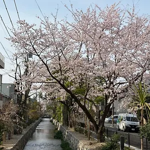 初音 民宿